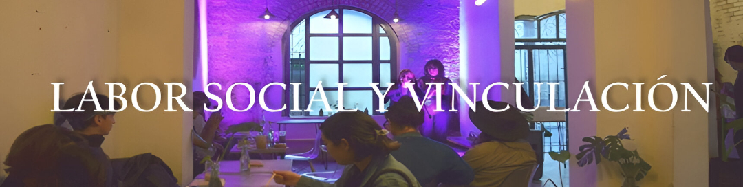 Labor Social y Vinculación