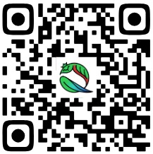 QR Programa de Mano